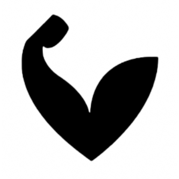 FeFIT